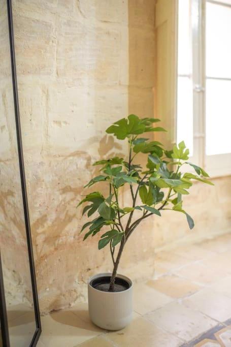 Chic, Stylish & Spacious Flat In Central La Valletta Esterno foto